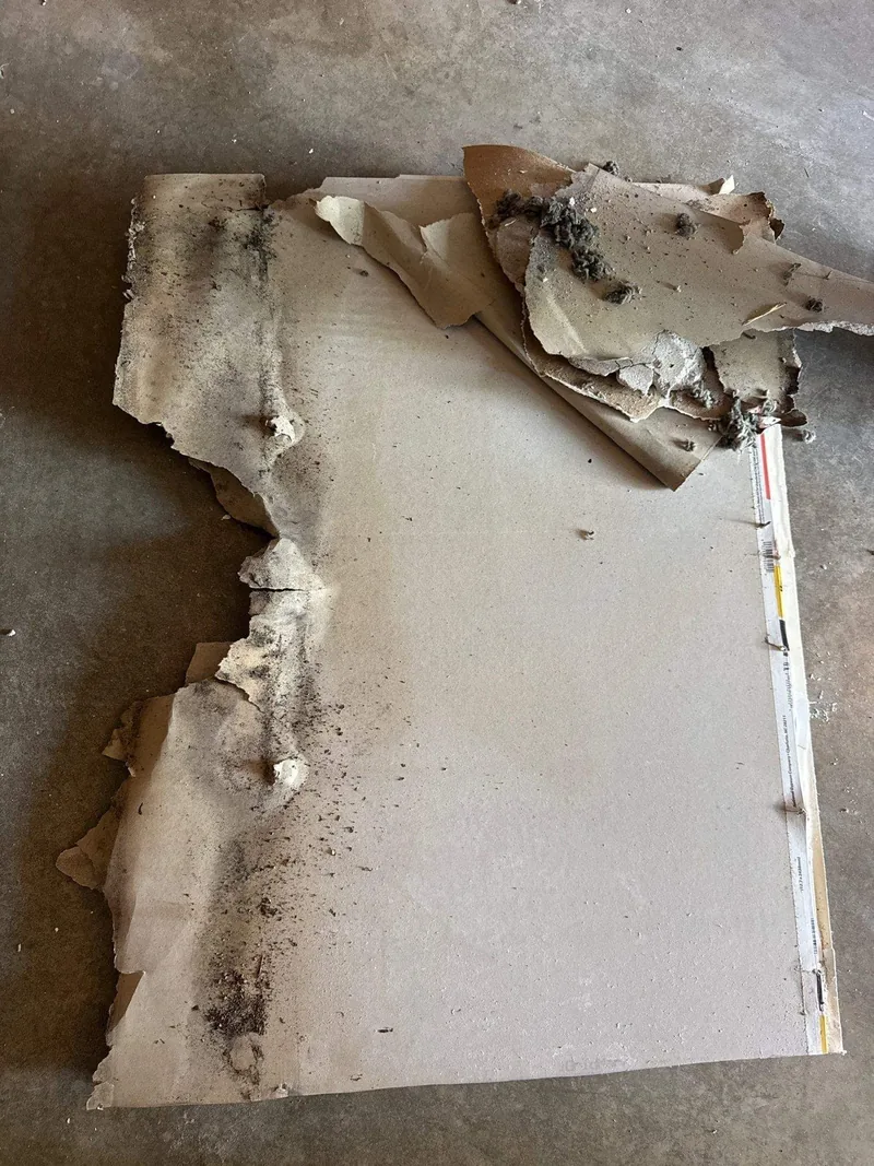 Fire damage to a wall, photographed for the claim file